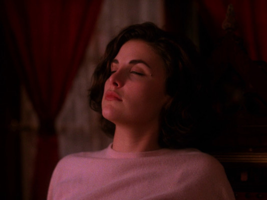 Sherilyn Fenn
