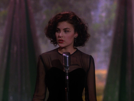 Sherilyn Fenn