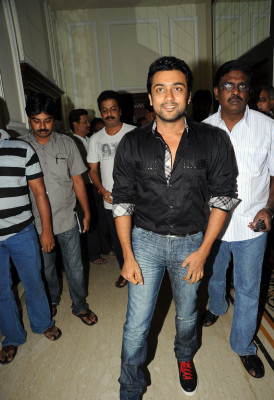 photo 16 in Suriya gallery [id429987] 2011-12-15 00:00:00