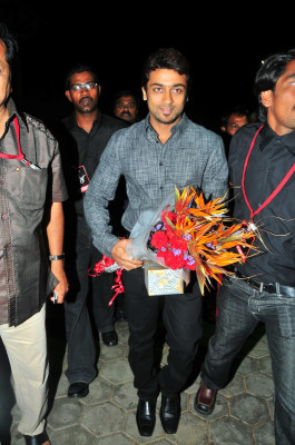 photo 8 in Suriya gallery [id429995] 2011-12-15 00:00:00