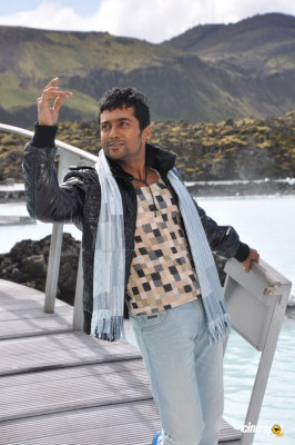 photo 12 in Suriya gallery [id429991] 2011-12-15 00:00:00