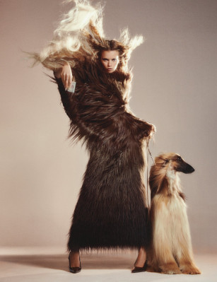 Abbey Lee Kershaw pic #1342799