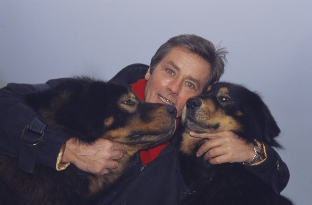 photo 29 in Alain Delon gallery [id258739] 2010-05-25 00:00:00