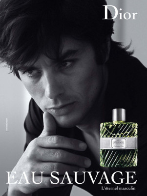 photo 14 in Alain Delon gallery [id228282] 2010-01-20 00:00:00