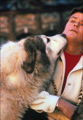 photo 23 in Alain Delon gallery [id462632] 2012-03-20 00:00:00