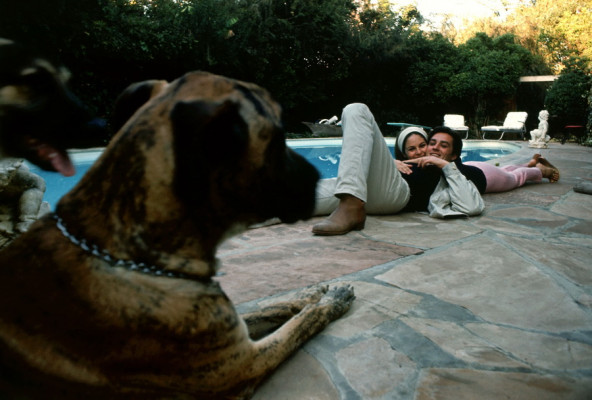 photo 17 in Alain Delon gallery [id272759] 2010-07-26 00:00:00