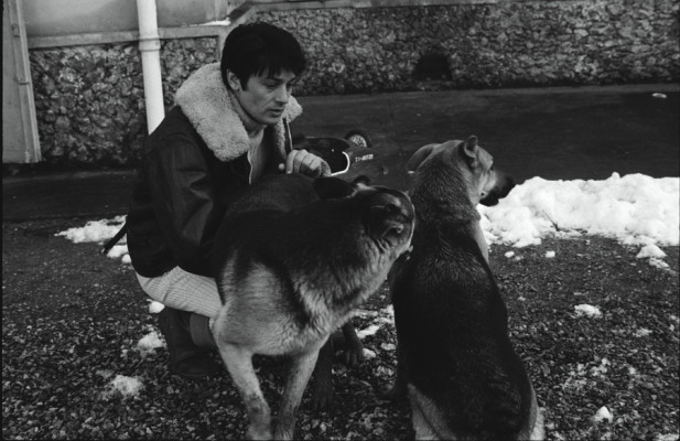 Alain Delon pic #272757