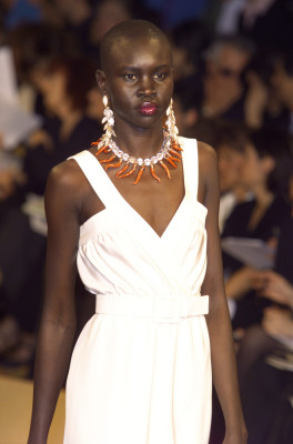photo 28 in Alek Wek gallery [id1323019] 2023-03-04 00:00:00