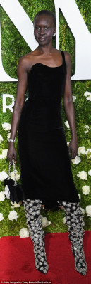 Alek Wek pic #942850