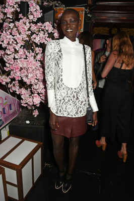 Alek Wek pic #802894
