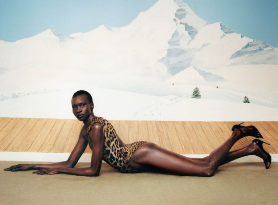 Alek Wek pic #1189489