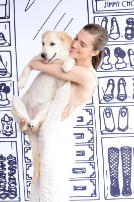 Allison Williams pic #774676