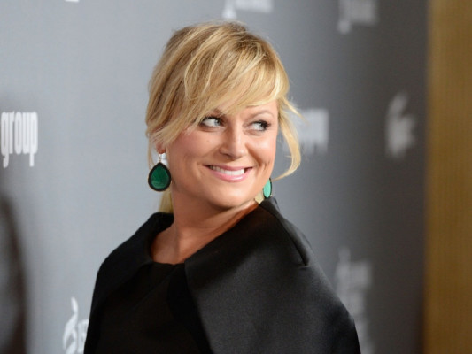 photo 4 in Poehler gallery [id586826] 2013-03-23 00:00:00