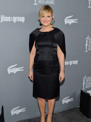 photo 8 in Poehler gallery [id586825] 2013-03-23 00:00:00