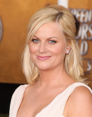 photo 28 in Poehler gallery [id299261] 2010-10-26 00:00:00