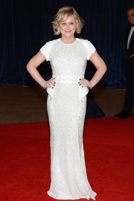 photo 3 in Amy Poehler gallery [id634240] 2013-09-24 00:00:00
