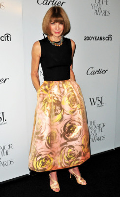 Anna Wintour pic #567743