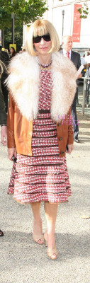 Anna Wintour pic #311763