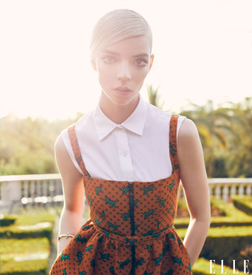 Anya Taylor-Joy pic #1254511