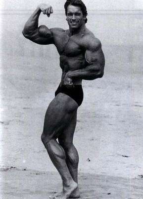 Arnold Schwarzenegger pic #281399
