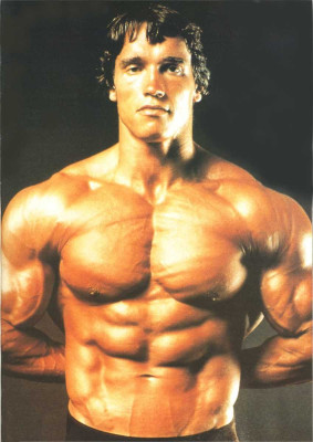 photo 7 in Arnold Schwarzenegger gallery [id835351] 2016-02-22 00:00:00