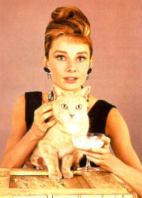 Audrey Hepburn pic #200062