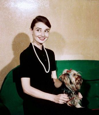 Audrey Hepburn pic #1157121