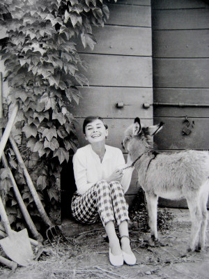 Audrey Hepburn pic #464014