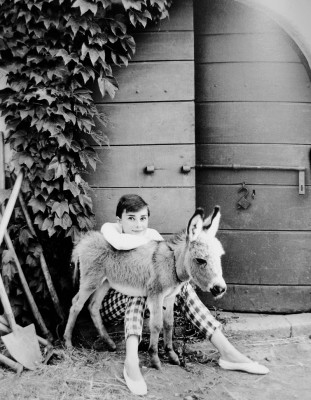 Audrey Hepburn pic #464012