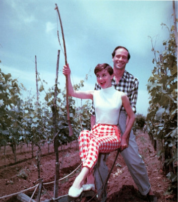 Audrey Hepburn pic #475880