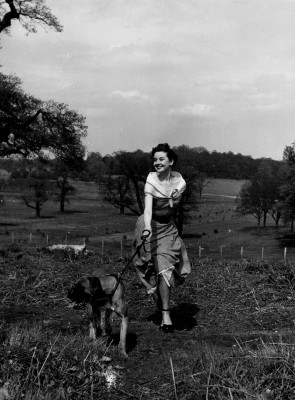 Audrey Hepburn pic #456244