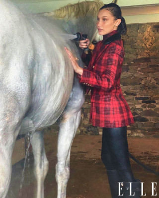 Bella Hadid pic #1226723
