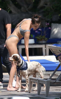 Bella Hadid pic #1033728