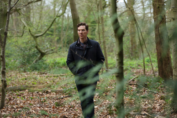 photo 4 in Benedict Cumberbatch gallery [id1211926] 2020-04-16 00:00:00