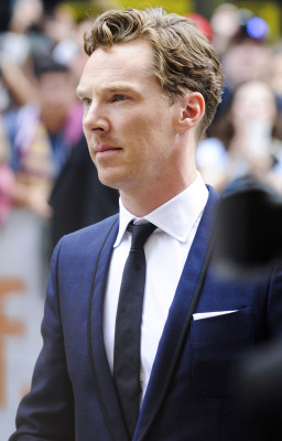photo 3 in Benedict gallery [id728870] 2014-09-17 00:00:00