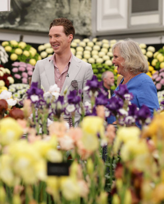 photo 10 in Cumberbatch gallery [id702025] 2014-05-27 00:00:00