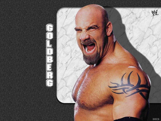 photo 4 in Bill Goldberg gallery [id45614] -0001-11-30 00:00:00
