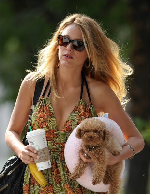 Blake Lively pic #342618