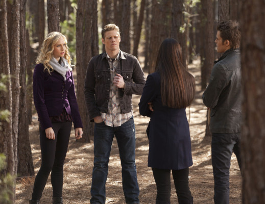 Candice Accola pic #841936