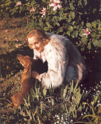 photo 13 in Carole Lombard gallery [id376476] 2011-05-11 00:00:00