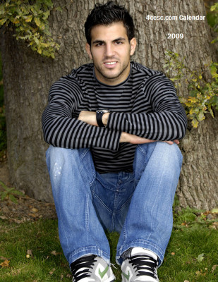 photo 9 in Cesc Fabregas gallery [id280174] 2010-08-23 00:00:00