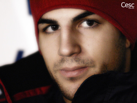 photo 3 in Fabregas gallery [id481601] 2012-04-30 00:00:00