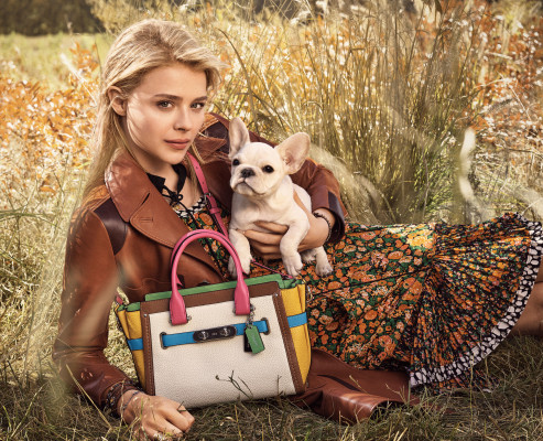 Chloe Moretz pic #830207