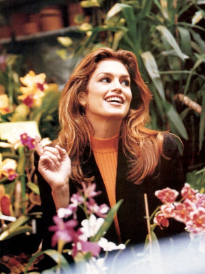 Cindy Crawford pic #17531