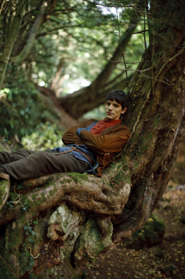 Colin Morgan pic #583227