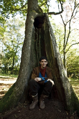 Colin Morgan pic #594474