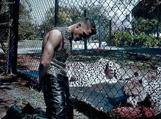 photo 7 in Colton Haynes gallery [id751723] 2015-01-05 00:00:00