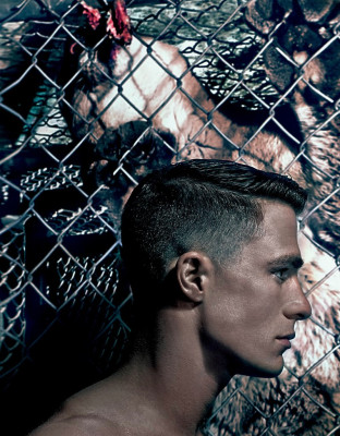 Colton Haynes pic #751708