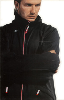 photo 21 in David gallery [id33180] -0001-11-30 00:00:00