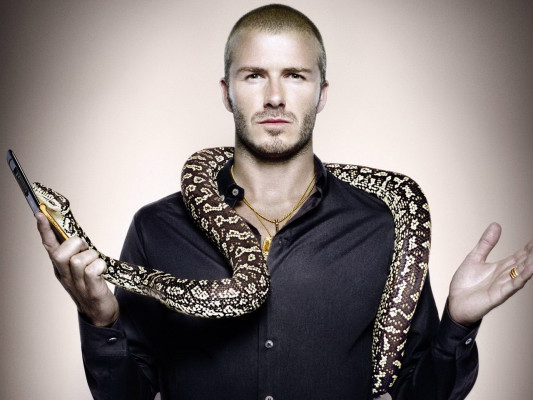 photo 7 in David Beckham gallery [id301031] 2010-11-01 00:00:00
